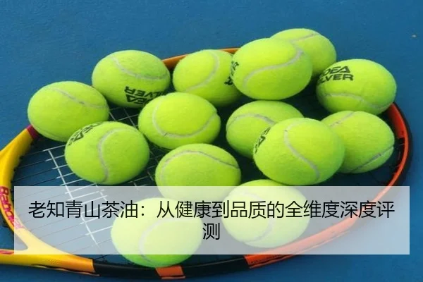 老知青山茶油：从健康到品质的全维度深度评测 | PG