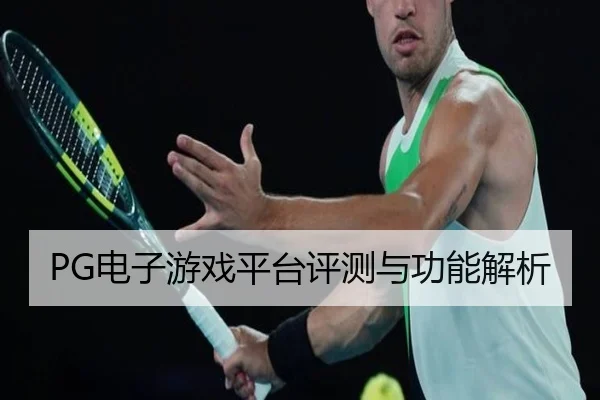 PG电子游戏平台评测与功能解析